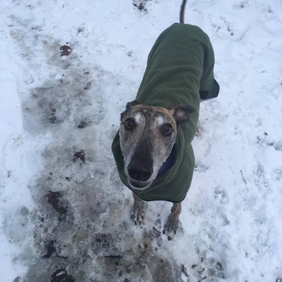 Meet your Posher, Dawna - Picture 1 of 1